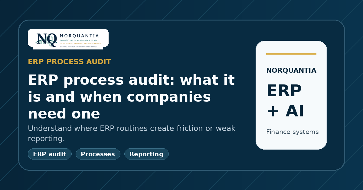 ERP process audit: what it is and when companies need one